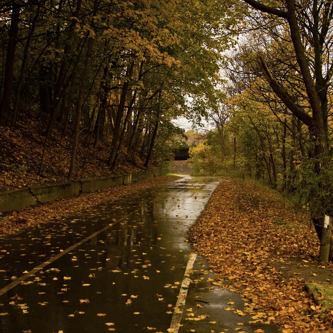 Playlist cover